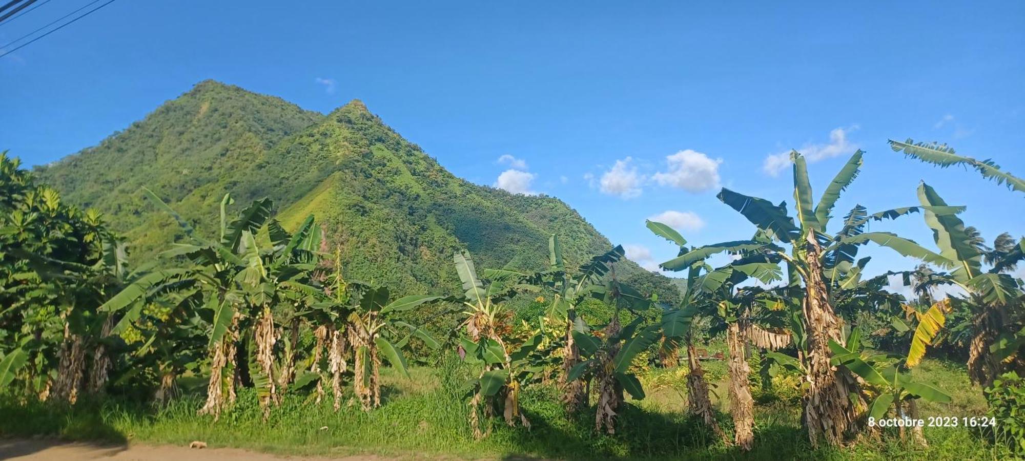 Hava'E Lodge Теахупоо Экстерьер фото